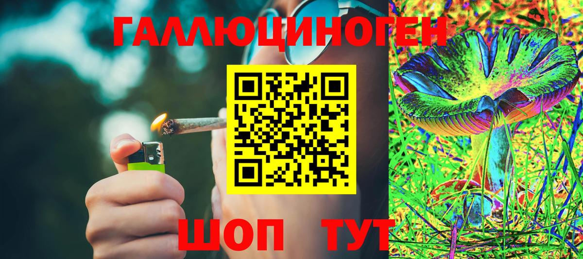 Галлюциногенные грибы мухоморы  Вход с VPN  Дубна 